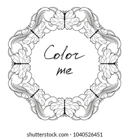 Drawing of frame with butterfly