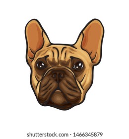 Drawing Of A French Bulldog Head Vector illustration