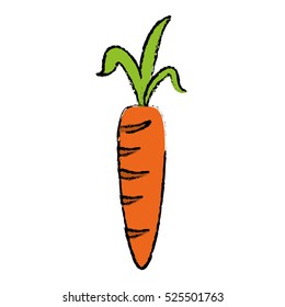 drawing fresh carrot vegetable healthy icon
