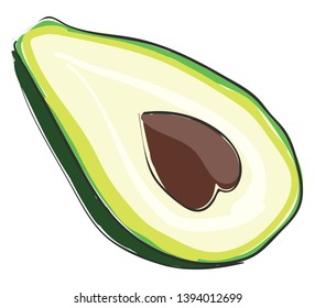Drawing of a fresh large avocado which is cut slice showing its hard seed vector color drawing or illustration