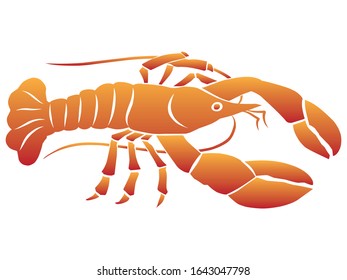 drawing of a fresh lobster