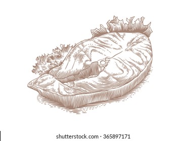 Drawing of fried steak of cod with green lettuce