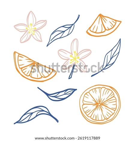 A drawing of fruit and flowers with a blue and orange background. The fruit includes an orange and a lemon, and the flowers are pink. The drawing has a whimsical and playful feel to it