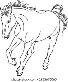 drawing of a galloping wild mustang stallion