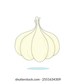 a drawing of a garlic with a white background.