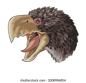 Drawing Gastornis Head, Art.illustration, Vector