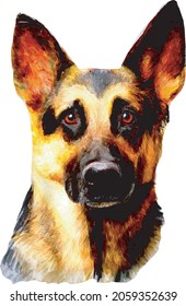 Drawing German Shepherd dog watercolor