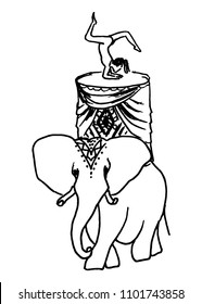 drawing of girl gymnast on an elephant, a sketch of a hand-drawn vector illustration