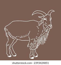 drawing of a goat. minimalist line style.