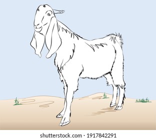 A drawing of a goat standing alone in the desert