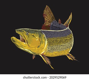 drawing golden dorado, river monster fish, art.illustration, vector