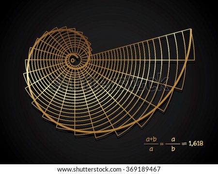 Drawing Golden Ratio 스톡 벡터(사용료 없음) 369189467 - Shutterstock