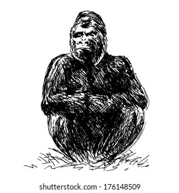 Drawing of gorilla sitting. Vector illustration