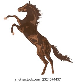 Drawing of a graceful and beautiful prancing horse