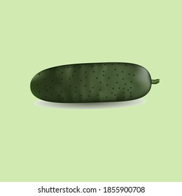 Drawing gradient cucumber in vector
