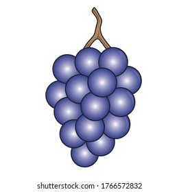 drawing of a grape icon for children's education