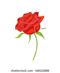 drawing in graphic style red rose, vector illustration of a flower on a white background