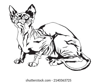 Dibujo en el estilo gráfico de un gato esfínico que acecha. Imagen vectorial para pegatinas, carteles, impresiones, etc.