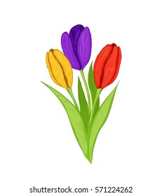 drawing in graphic style  tulips, vector illustration of a flower on a white background