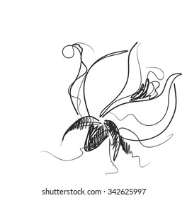 Drawing  graphics with floral pattern for design. Floral flower natural design. Graphic, sketch drawing. lily, tulip.
