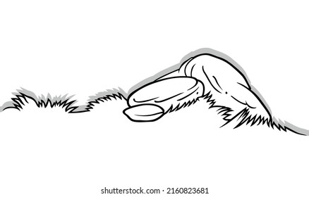 Drawing of Grass with Stones - Cartoon Illustration Isolated on White Background, Vector