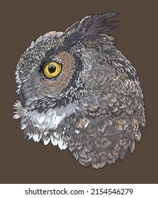 Drawing great owl head, exotic, art.illustration, vector