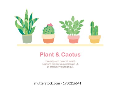 drawing green cute pastel botanical plant and cactus background vector