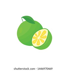 Drawing green grapefruit icon doodle style.Vector illustration.