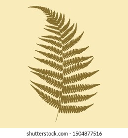 Drawing of a green leaf of fern on a beige background. Silhouette. Vector illustration.