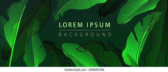 Drawing of green leaves of a banana palm. Background.
