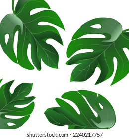 Drawing green leaves .  isolate on white background. Copy space for your text and your business.