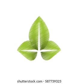 drawing green leaves natural vector illustration eps 10