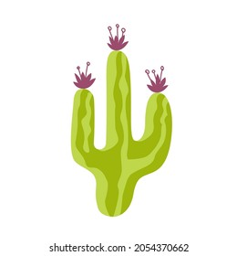 Drawing green prickly cactus with flowers isolated on white background. Vector eps illustration