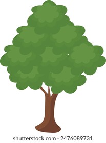 Drawing green tree isolated on white background. Vector Illustration.