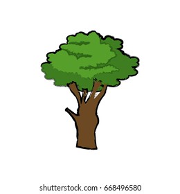drawing green tree nature flora botanical