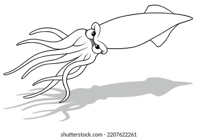 Drawing of a Grumpy Squid with Long Tentacles - Cartoon Illustration Isolated on White Background, Vector