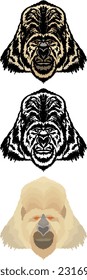 Drawing of hairy gorilla head, isolated against white. Hand drawn vector illustration.