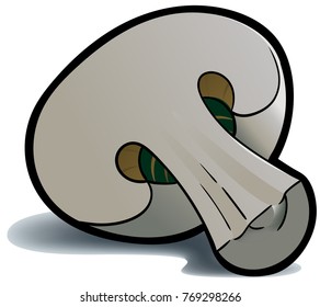 A drawing of a half mushroom on a white background. This is a scalable and editable vector drawing.