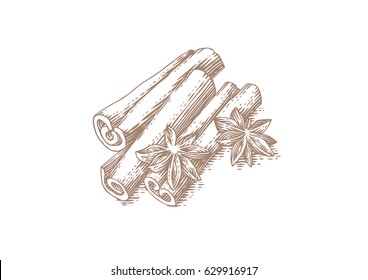 Drawing Of Handful Of Cinnamon Sticks And Star Anise