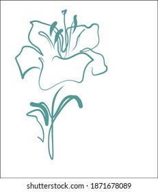 
Drawing handmade fashion digital sketch vector graphics with floral spring pattern for design logo with  tulip 
