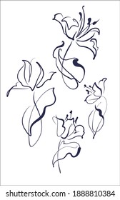 
Drawing handmade fashion digital sketch vector set with floral spring pattern for design logo with  tulip 