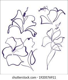 
Drawing handmade fashion digital sketch vector graphics set with floral  pattern for design logo with  Hibiscus