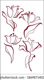 
Drawing handmade spring vector graphics  set with floral pattern for design with  tulip 