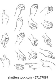 Hand Collection Vector Line Illustration Stock Vector (Royalty Free ...