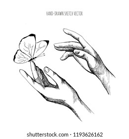 Drawing Hands releasing butterfly. Let go, brush the hand of man, Fly, Freedom