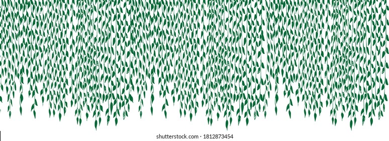 Drawing of hanging branches of ivy. A lot of ivy creepers with leaves.