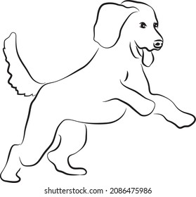 Drawing of a happy dog running and jumping 