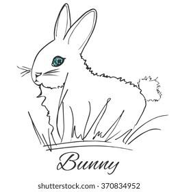 drawing hare in the grass. Rabbit in the grass