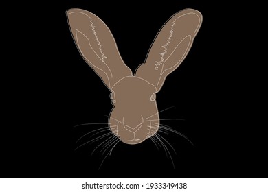 Drawing of a hare. Hare head full face. Simple linear drawing of a hare. Wild animal
