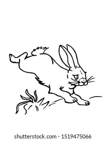 Drawing of a hare on a white background for coloring with paints and pencils